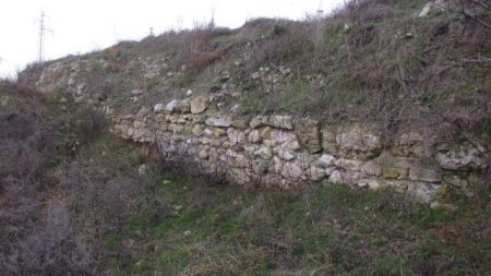 CETATEA ASAMUS